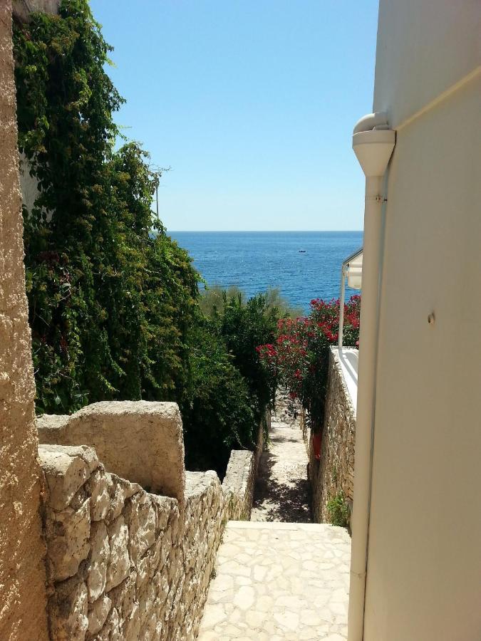 הוילה מריטימה Perla Sul Mare Adriatico מראה חיצוני תמונה